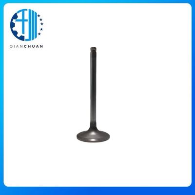 ISC/QSC 8.3L 8.9L Cummins Diesel Engine Intake Valve 3924492 3802463